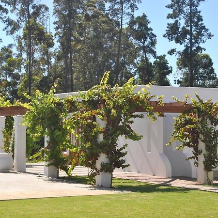 Lombard Villa Плетенбърг Бей Екстериор снимка