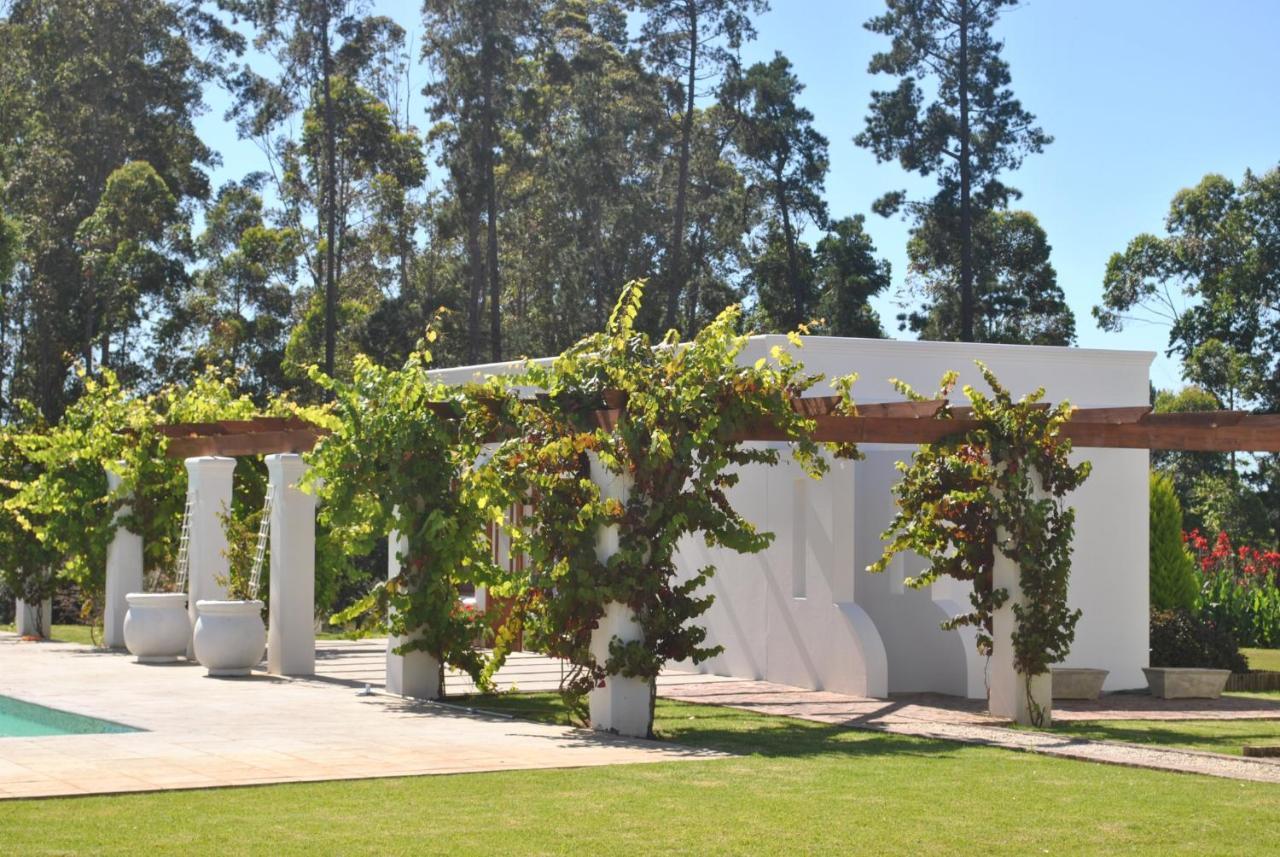 Lombard Villa Плетенбърг Бей Екстериор снимка